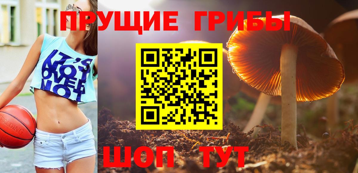 Псилоцибиновые грибы Cubensis  Вход с VPN  Галлюциногенные грибы Magic Shrooms  Барнаул 