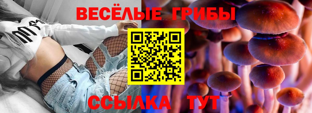 Псилоцибиновые грибы Magic Shrooms Барнаул